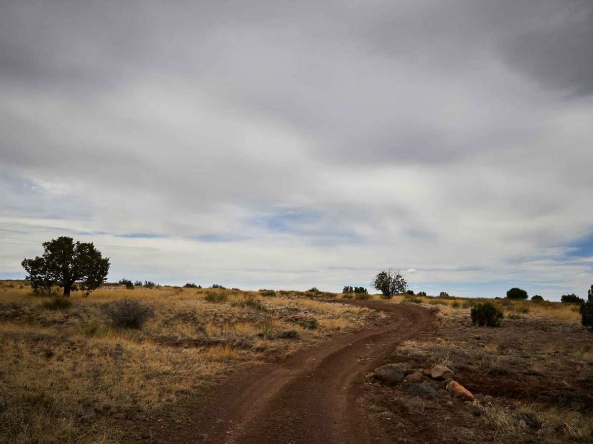 Coyote Ranch Road photo 5