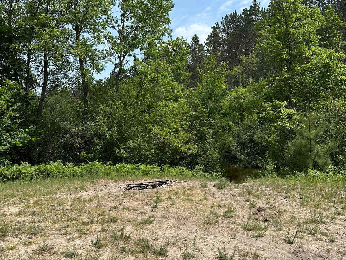 Betsie Road photo 5