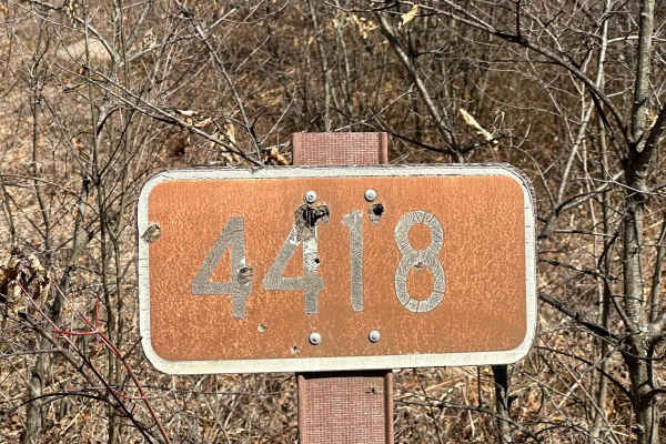FS 4418