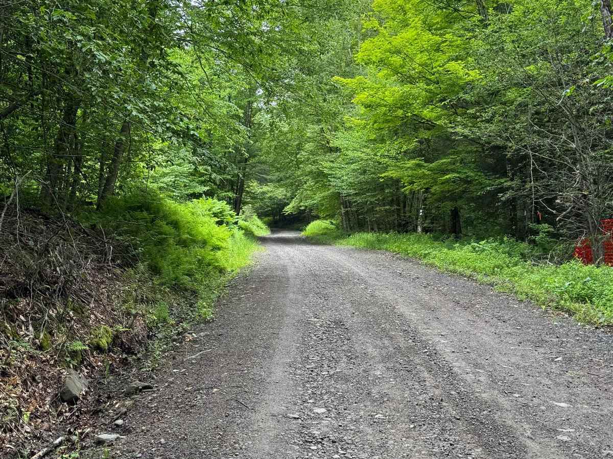 Behrmann Hill Road photo 3