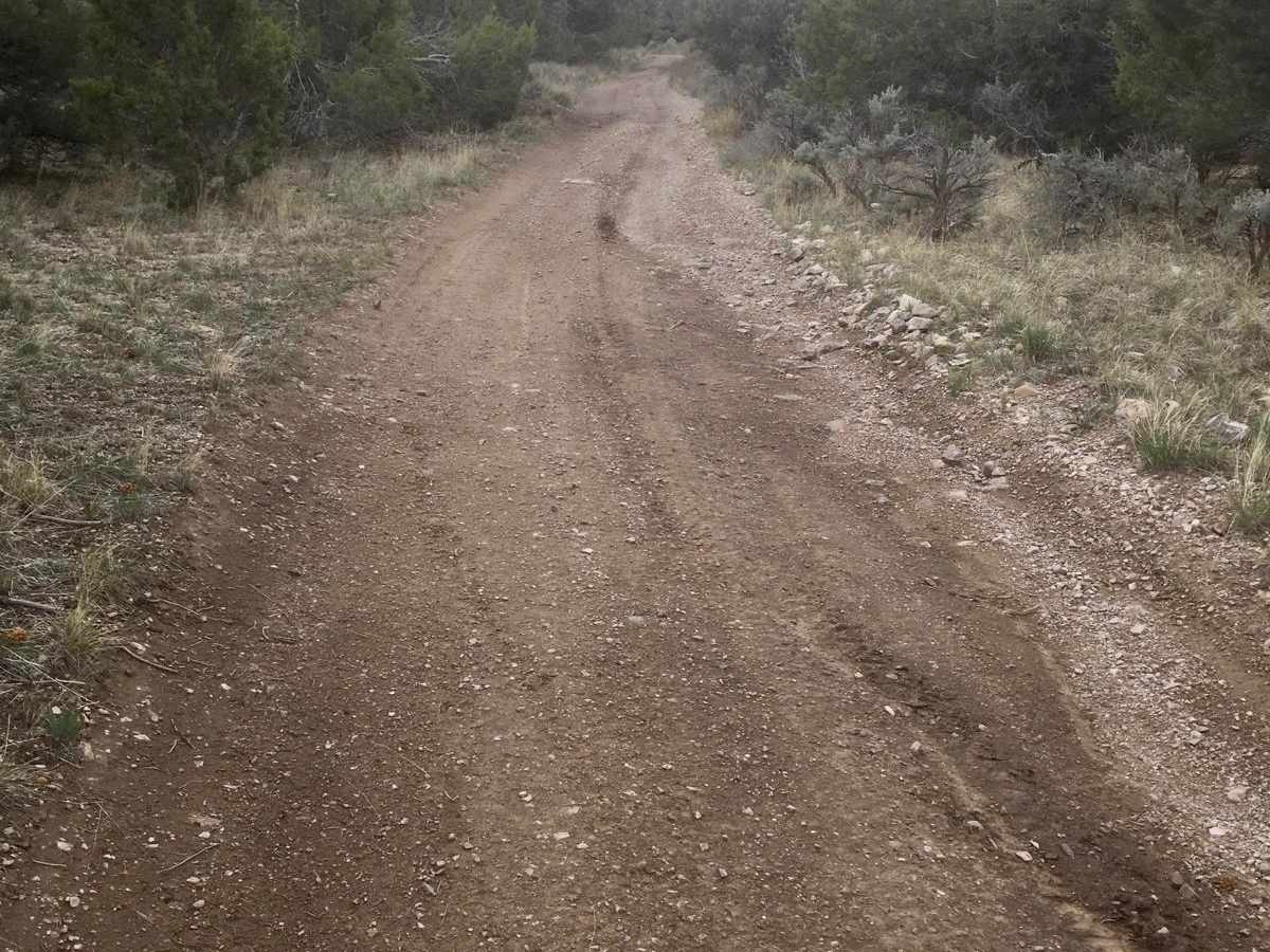 Ice Plant ATV Loop photo 4