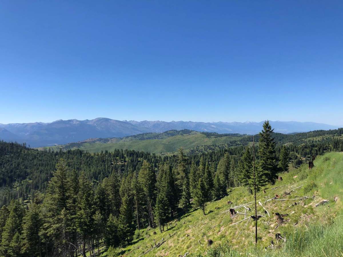 Deer Mountain photo 6