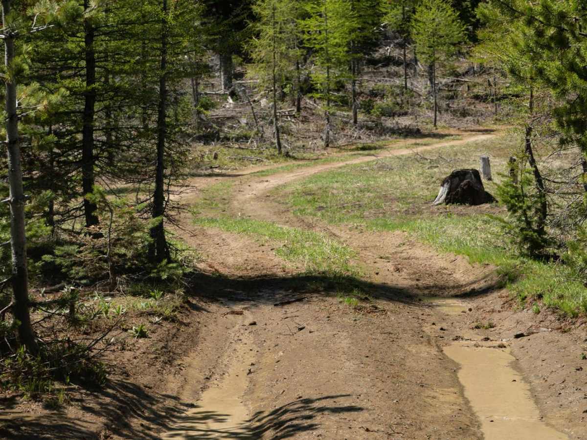 Tamarack Springs photo 4