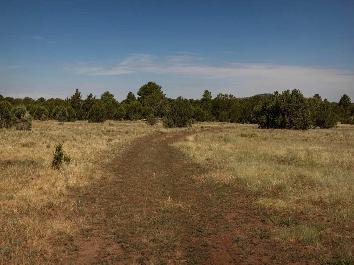 Red Lake to Pipeline photo 3