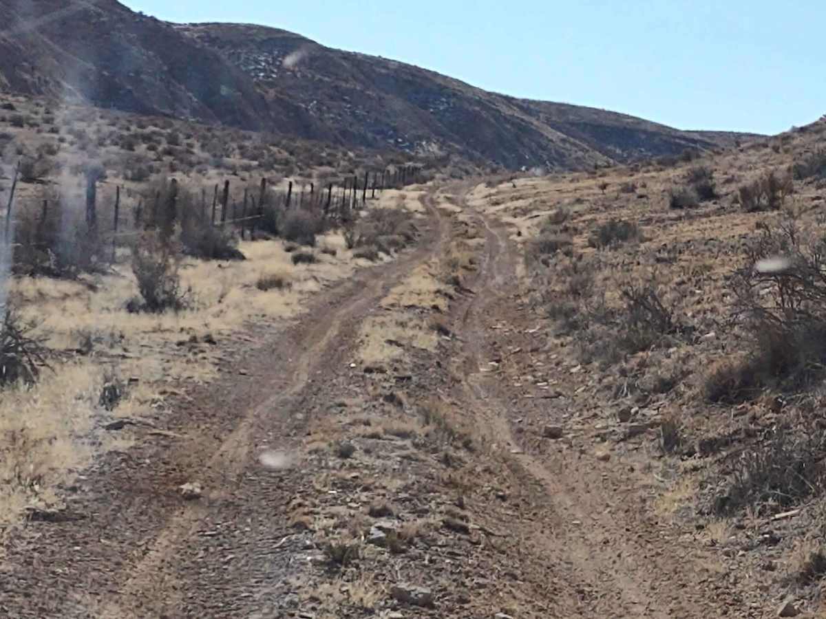 Northern Arizona High Desert (Part 1) photo 3