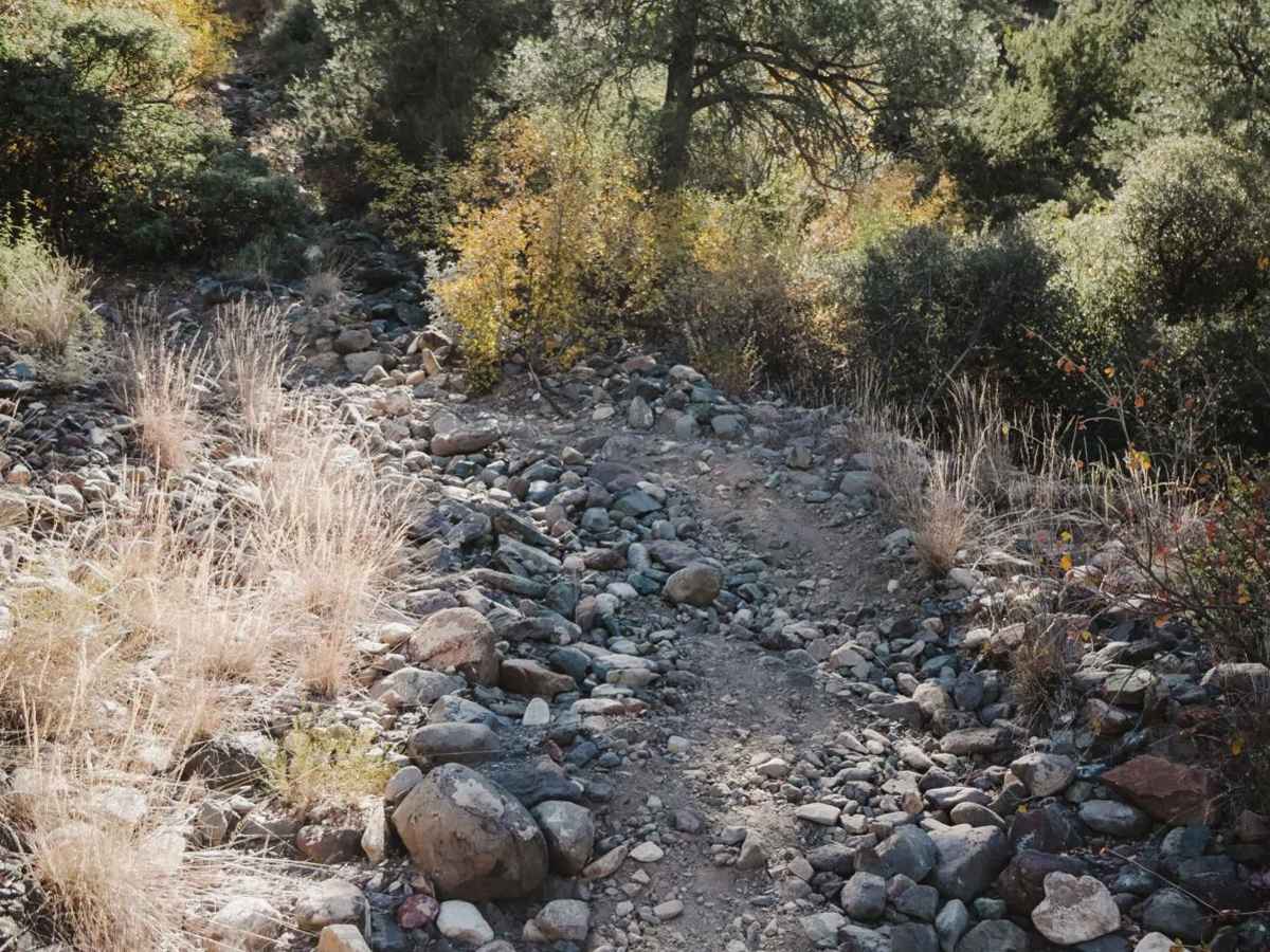 Camp Verde Trail #545 (South) trail photo
