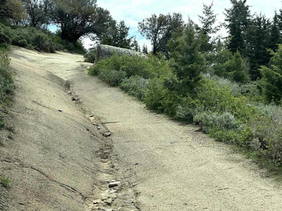 Presby Creek Trail photo 4