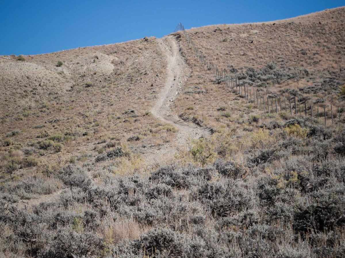 Cow Gulch photo 5