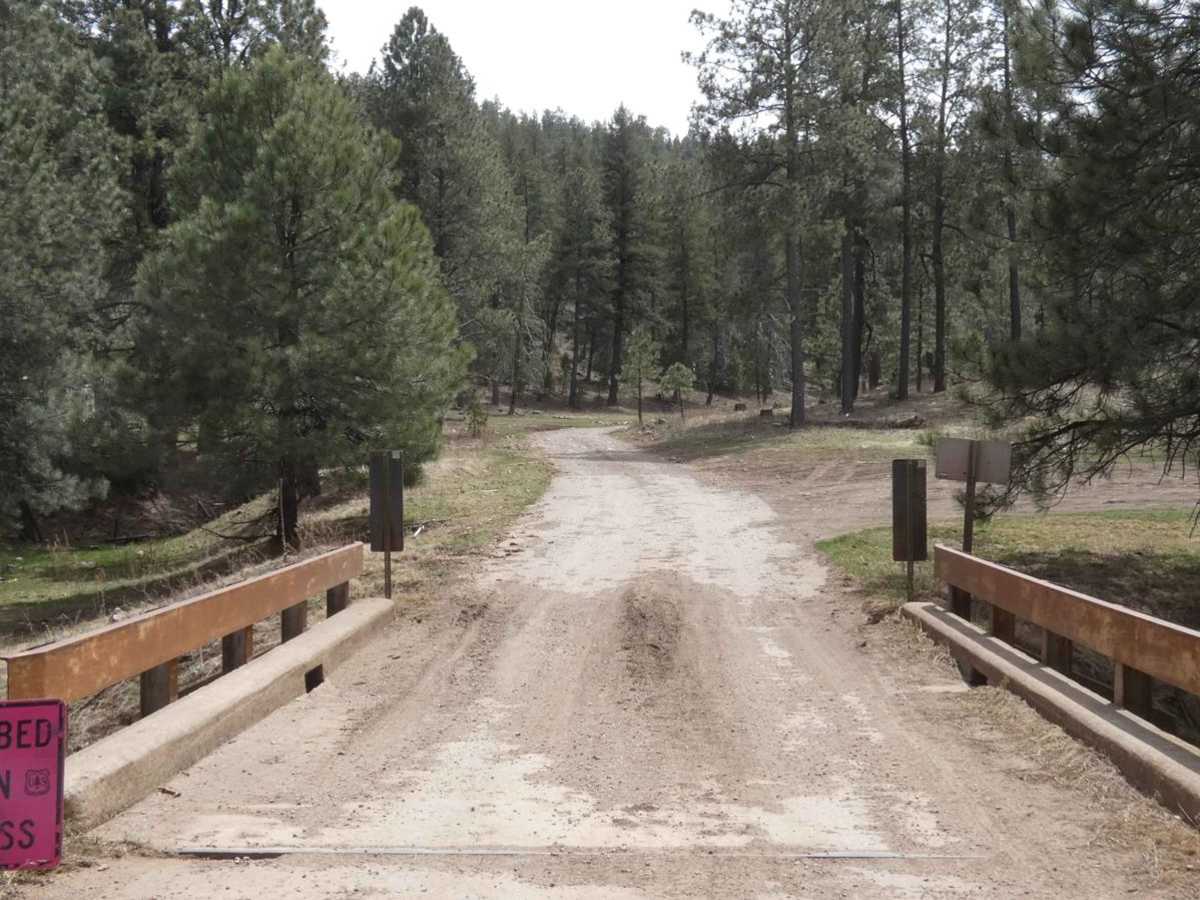 Long Canyon to Board Canyon (FS271) trail photo