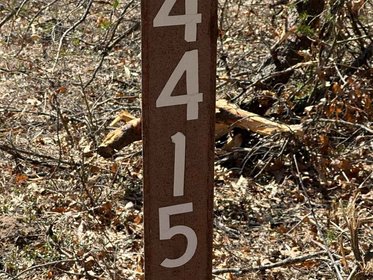 FS 4415 trail photo
