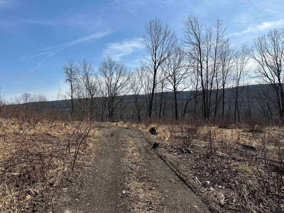 Ashland 16 trail photo