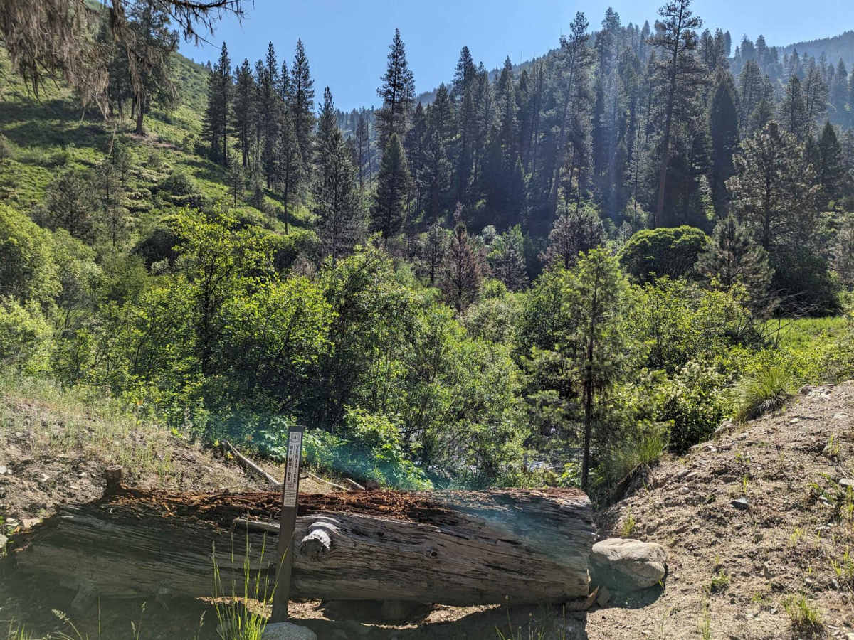 Ten Mile Creek Trail 531 (Hot Springs) photo 5