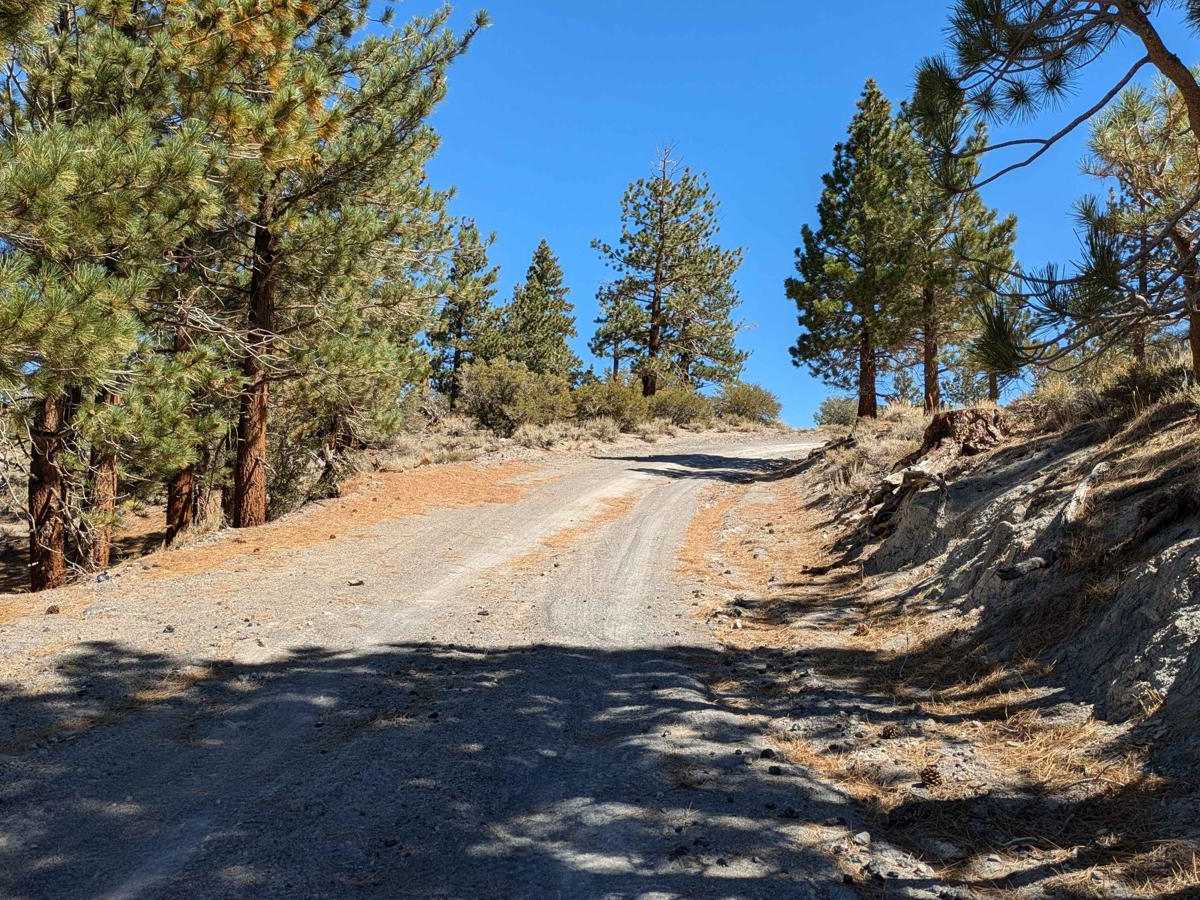 McGee Canyon West trail photo
