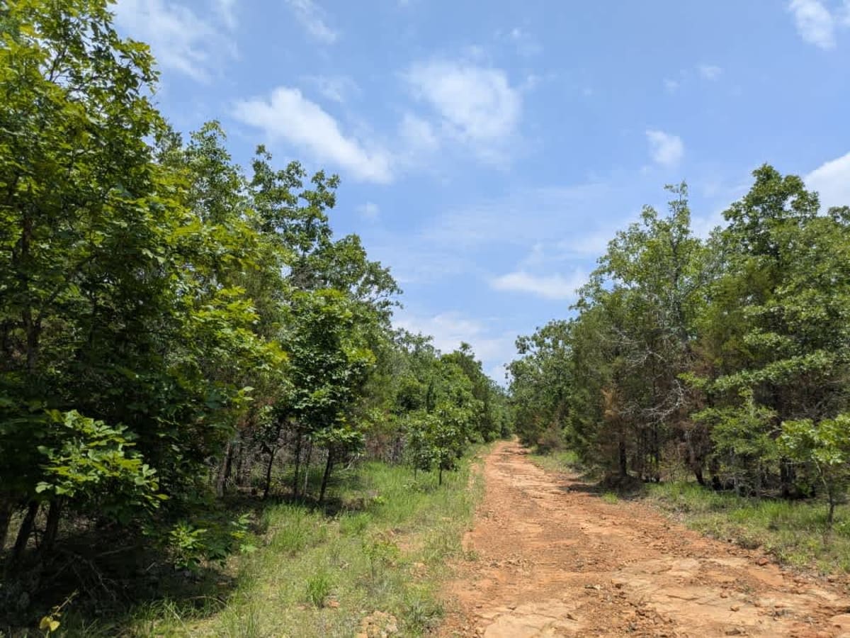 Ridge Road photo 4