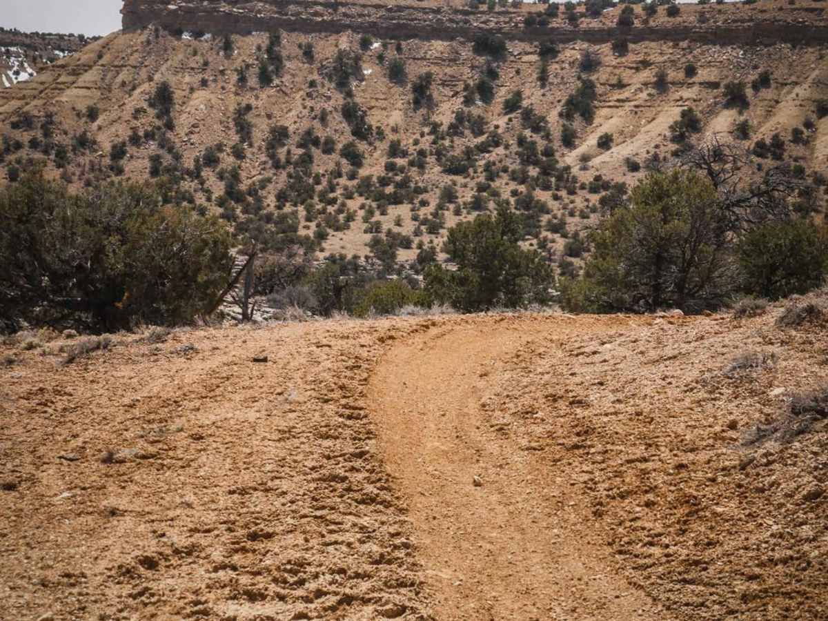 Green Trail photo 6