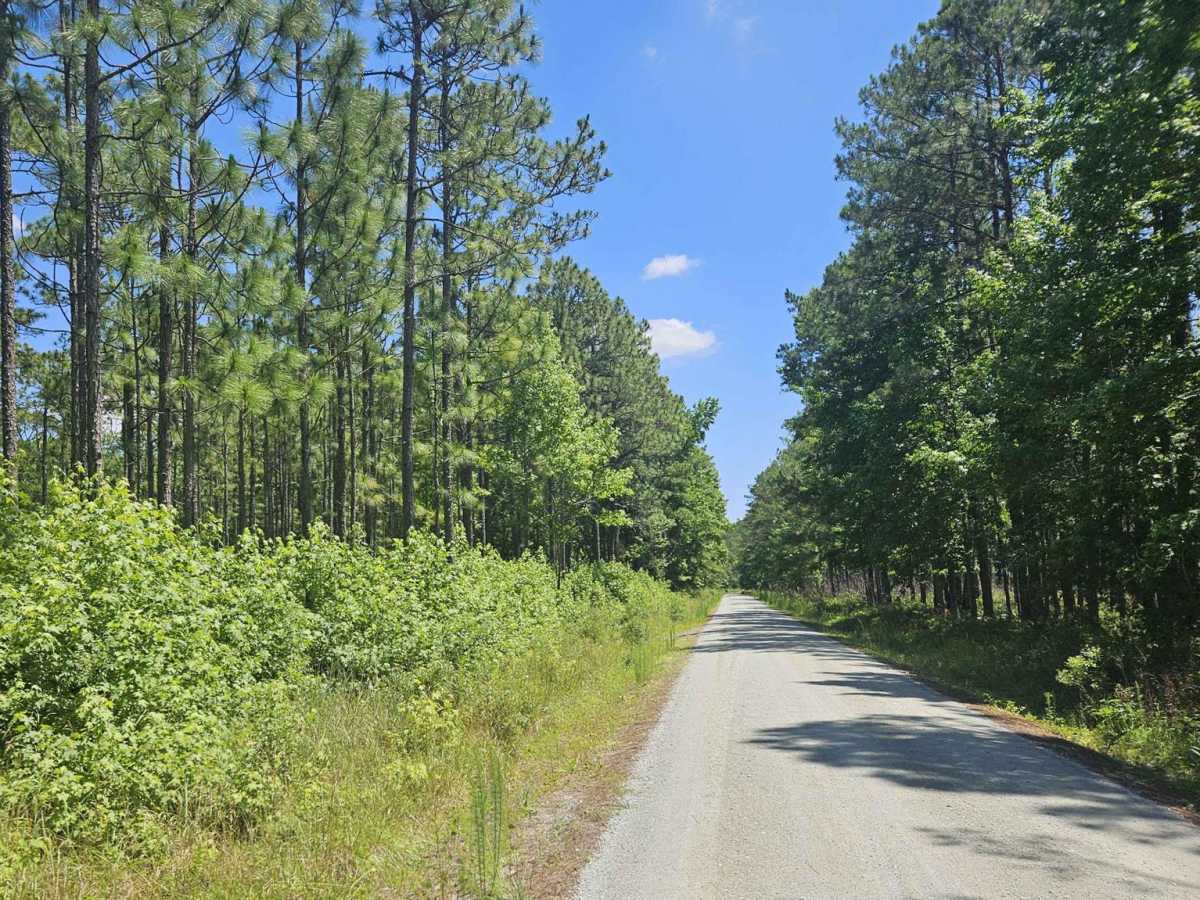Millis Road (128) photo 5
