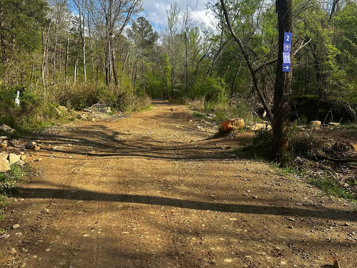 Trail 11 photo 3