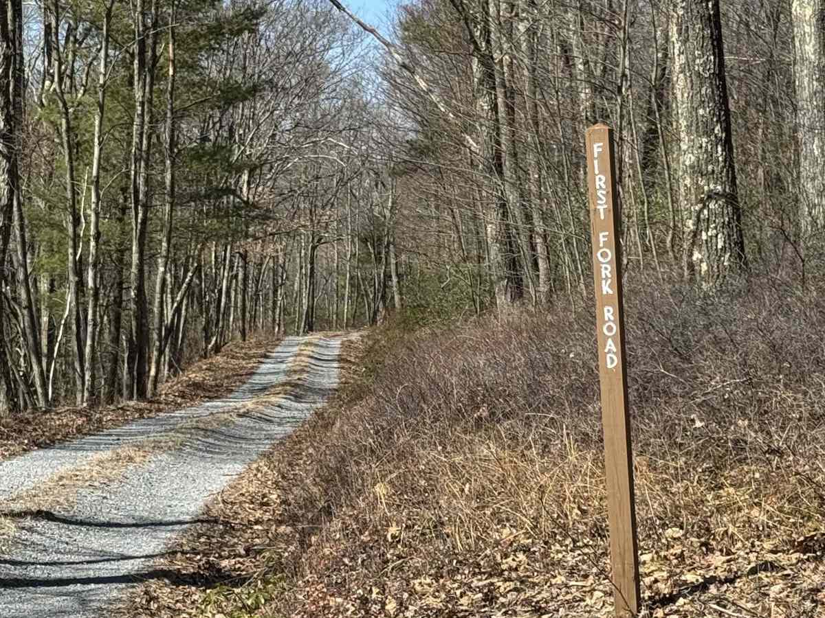 First Fork Road photo 2