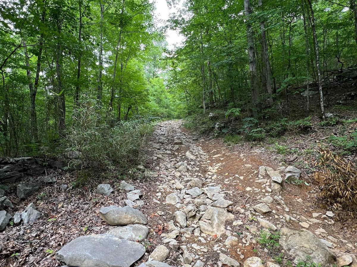 Mountain Bypass Trail photo 3