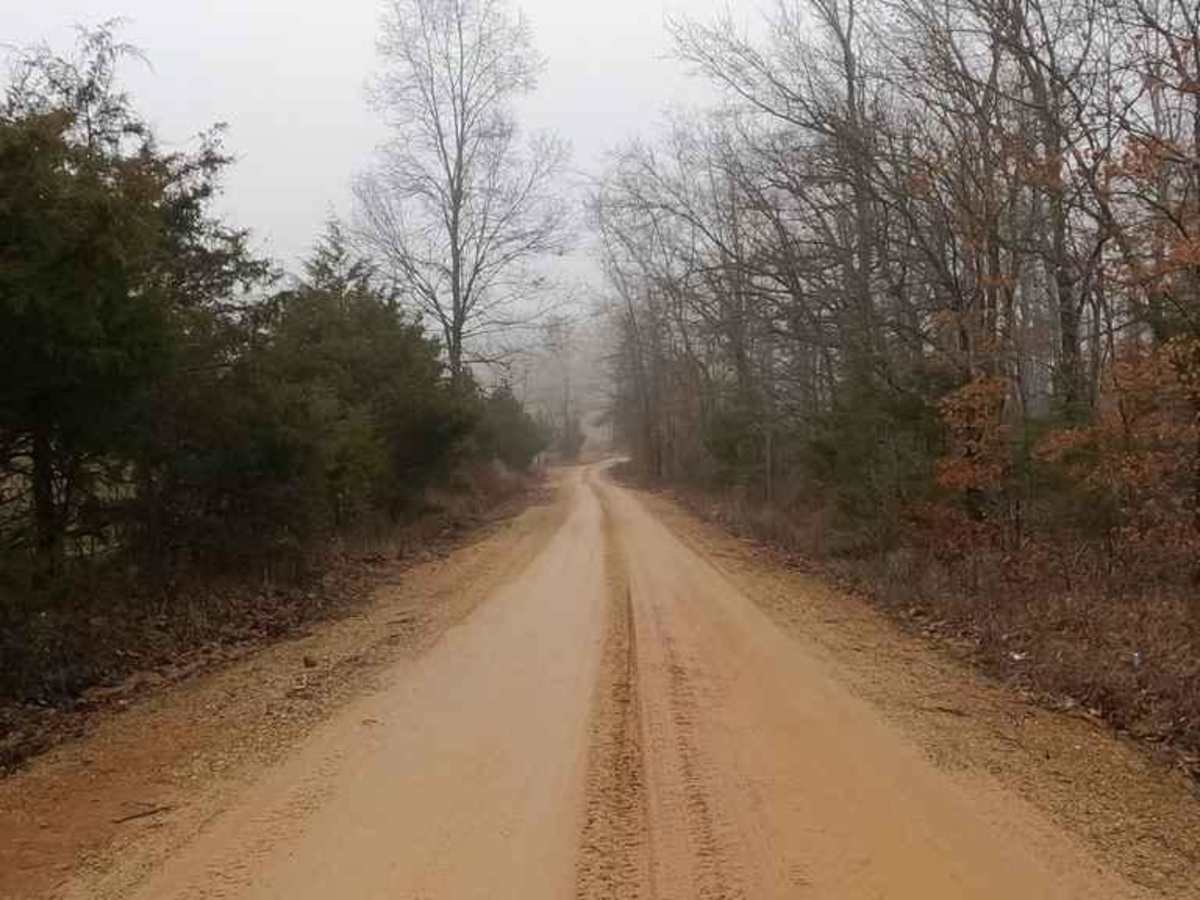 Kathy's Bridge Road photo 6