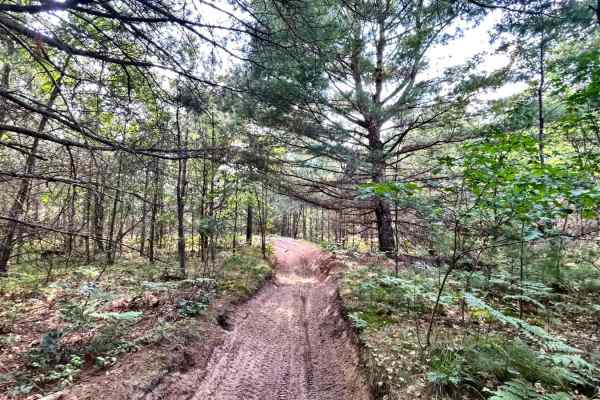 Little Leota Trail