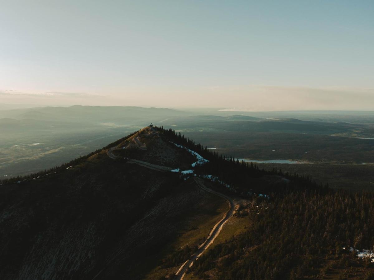 Jesmond Fire Lookout trail photo