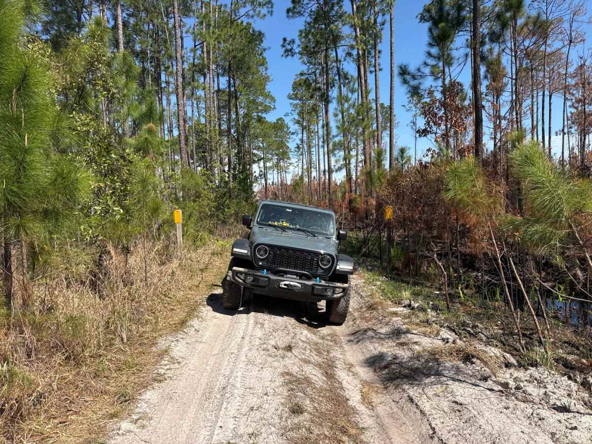 East River Road - ONF 74 trail photo