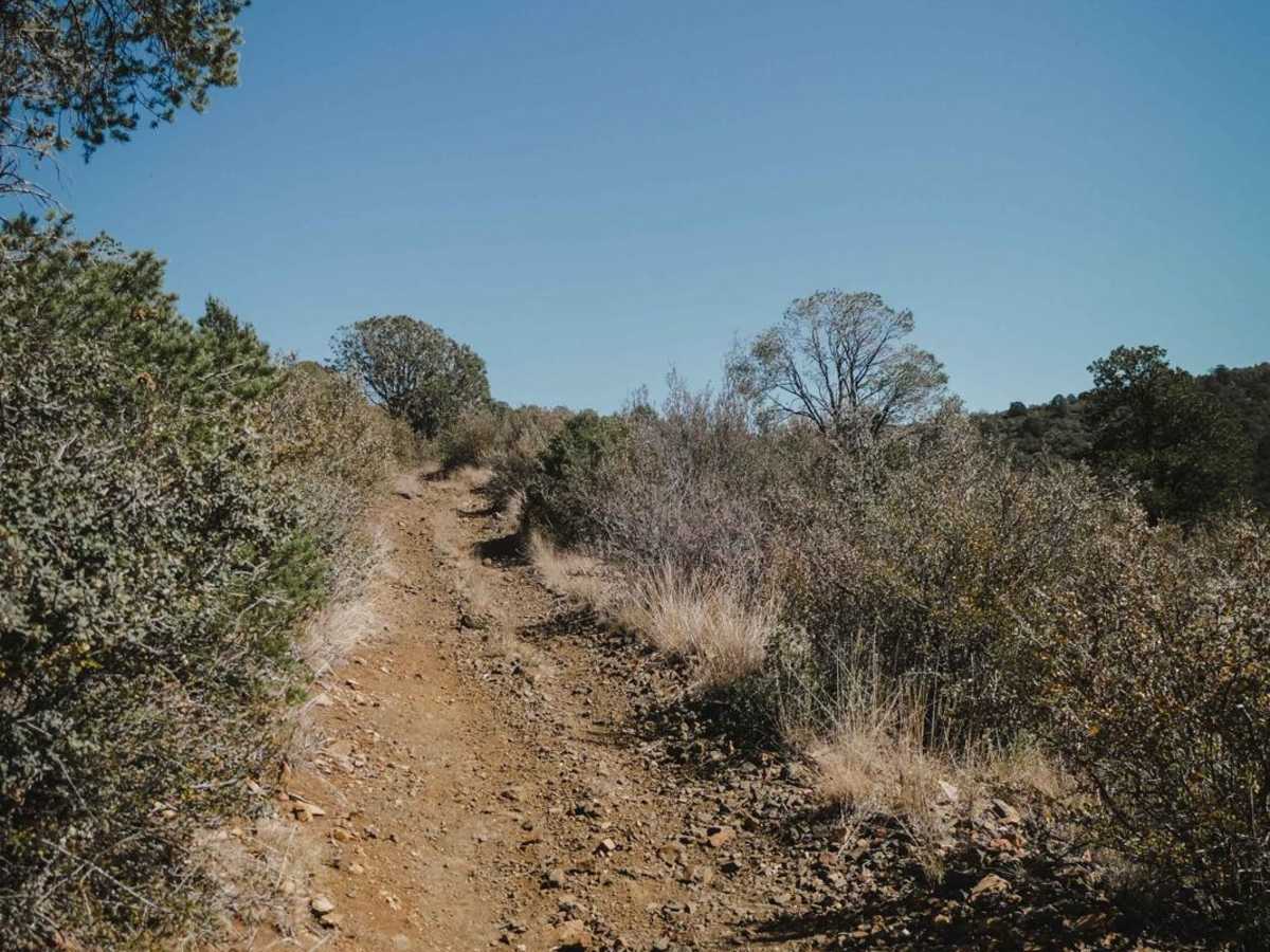Prospectors photo 3