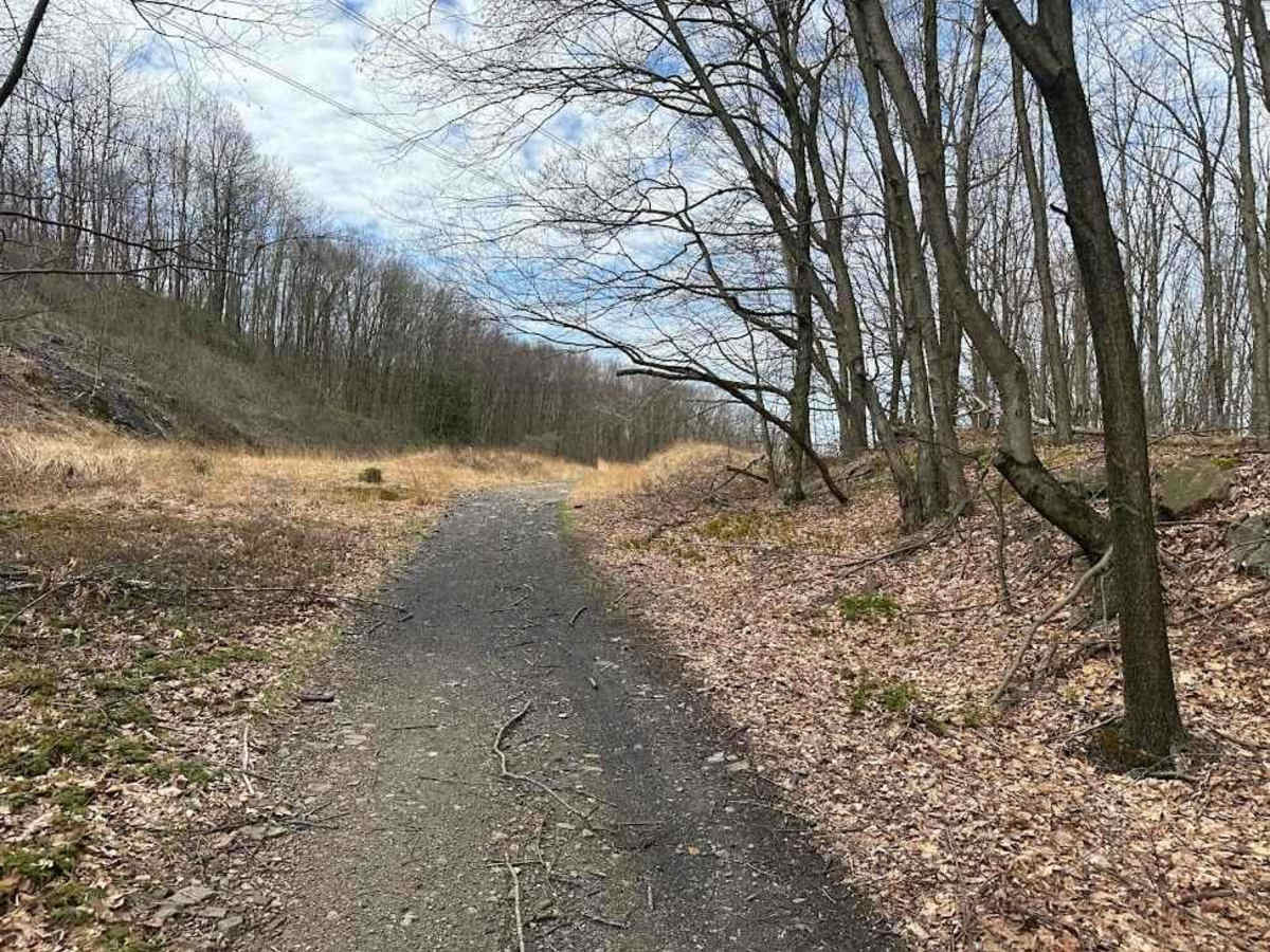 Ashland 133 photo 4