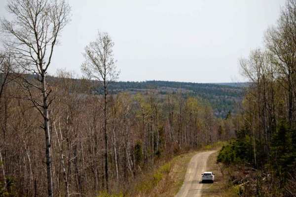 Roger Brook Trail (Part 1)