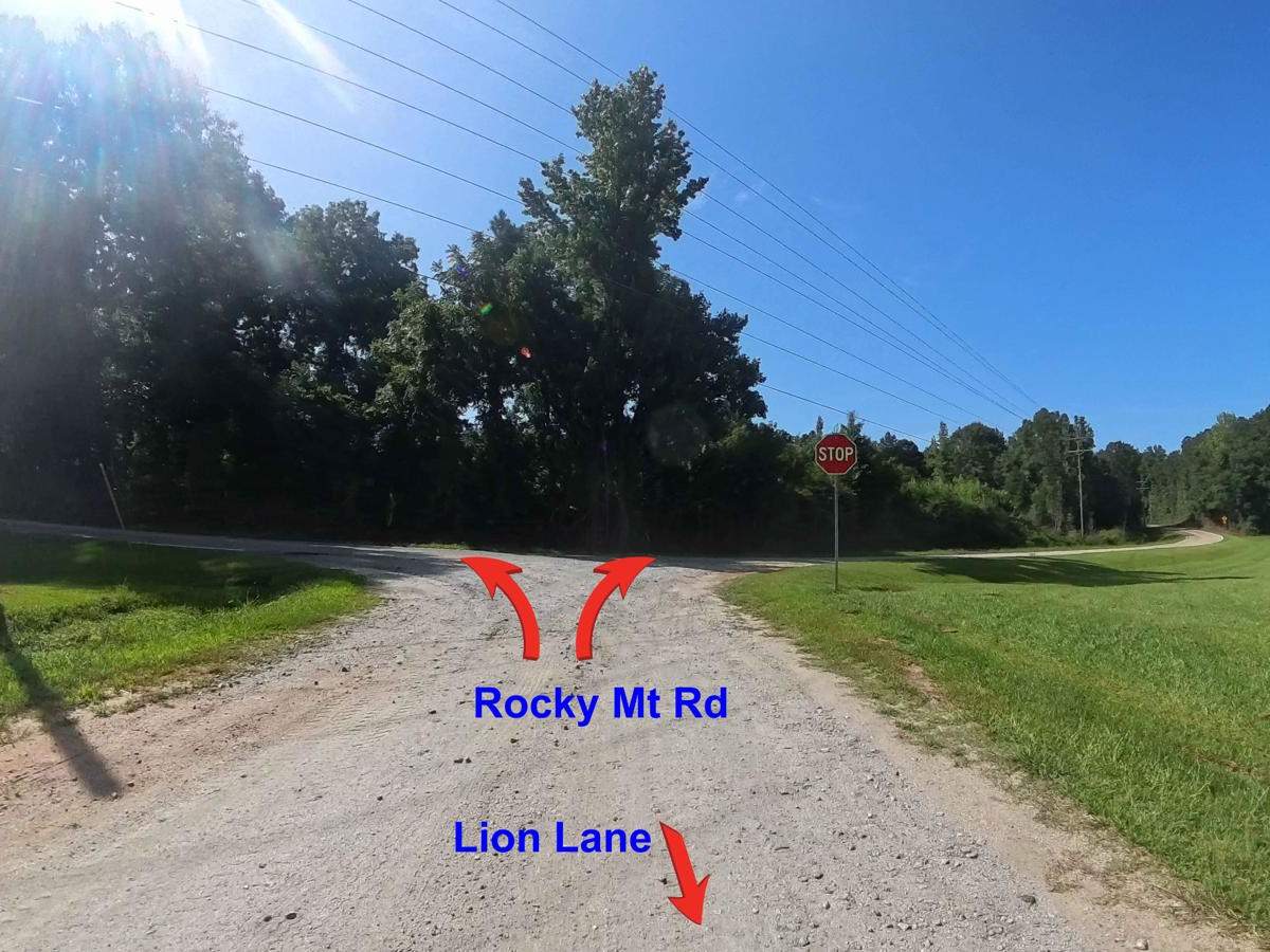 Lion Lane photo 2