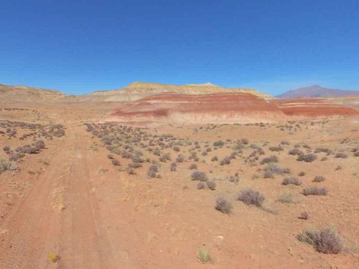 BLM13310 trail photo