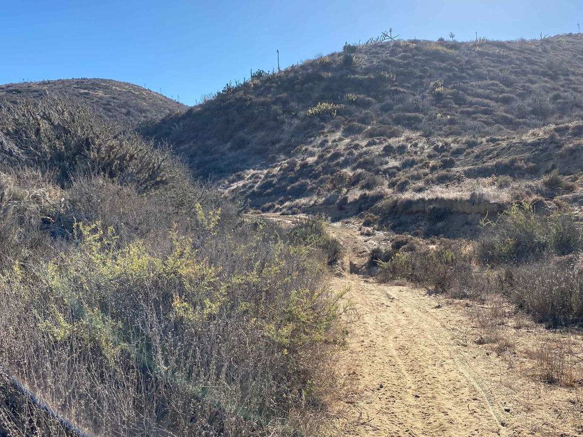 Mesa Redondo photo 4