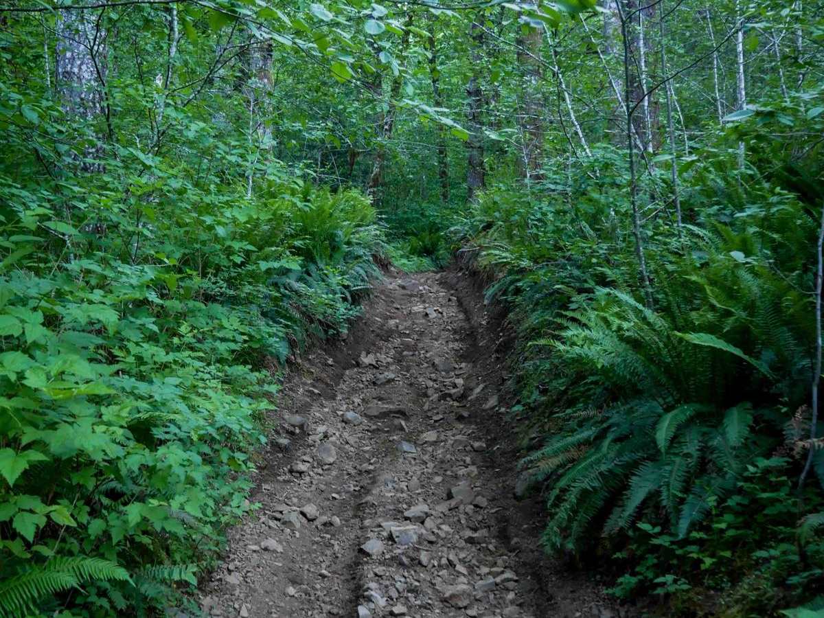 Plastic Downhill #110 photo 4