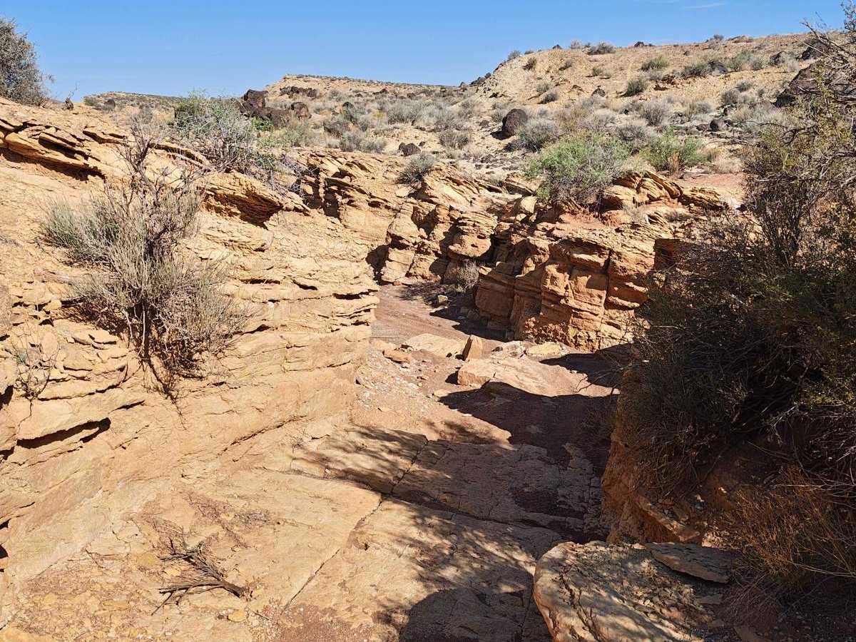 Black Rock Mesa Ring Trail - Single Track photo 5