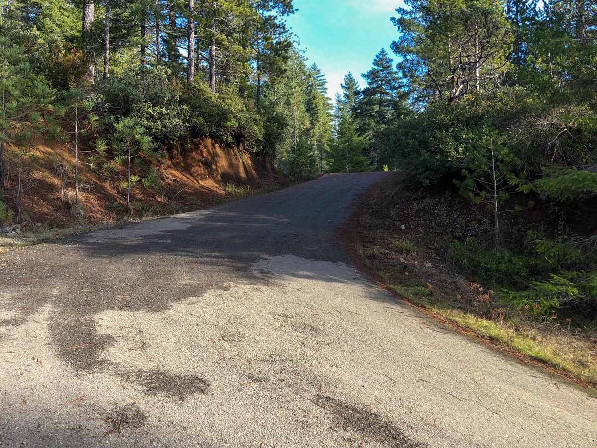 Gasquet Mountain Road - FSR 17N49 photo 6