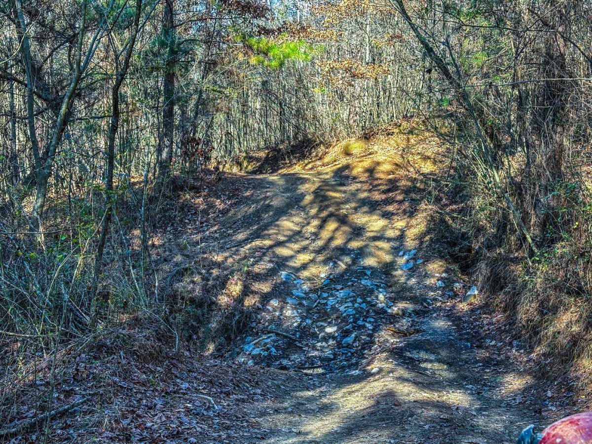 501 photo 6