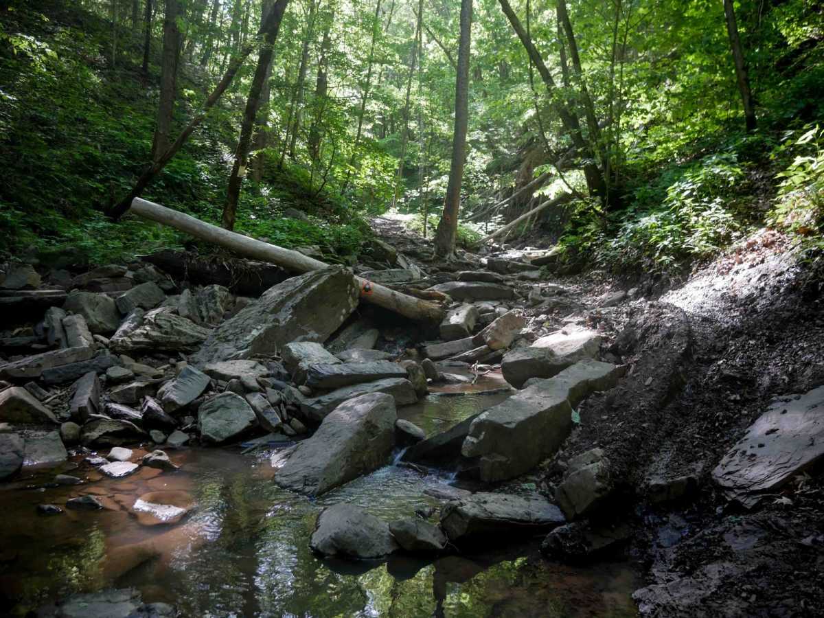 Waterfall Trail trail photo