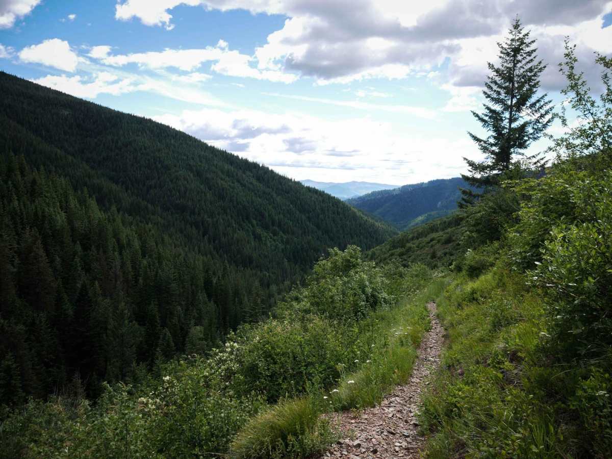 East Fork Big Creek trail photo