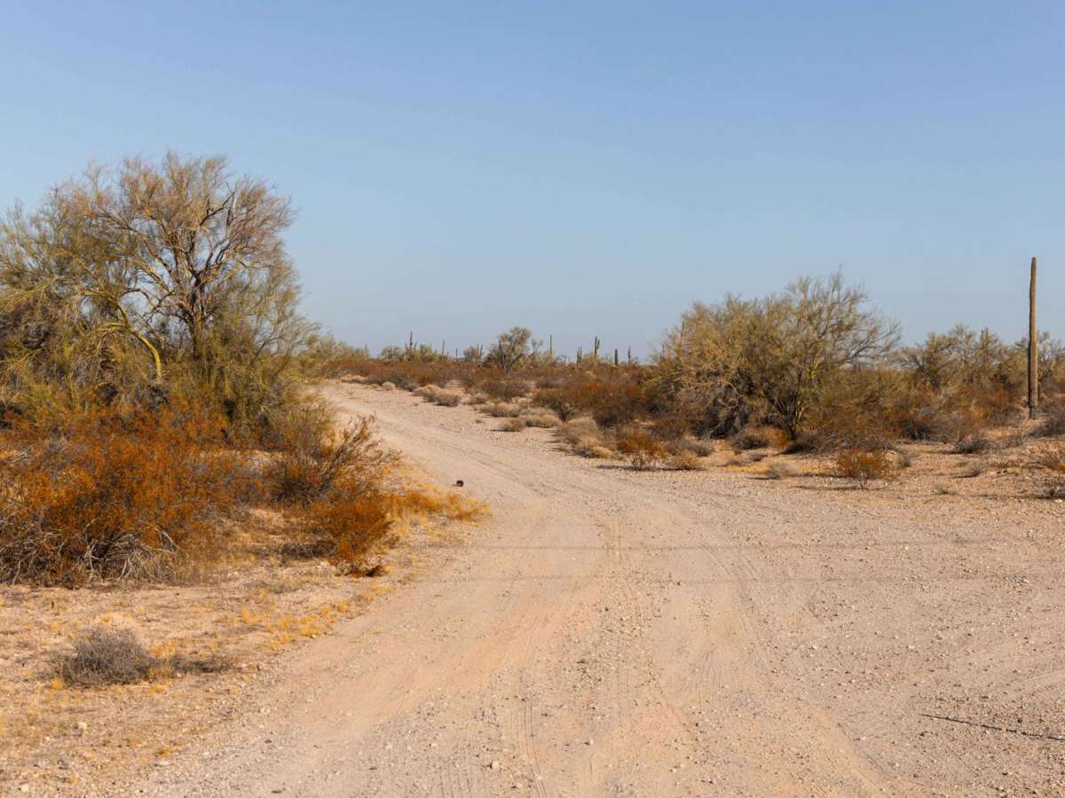 Aguila Adapter trail photo