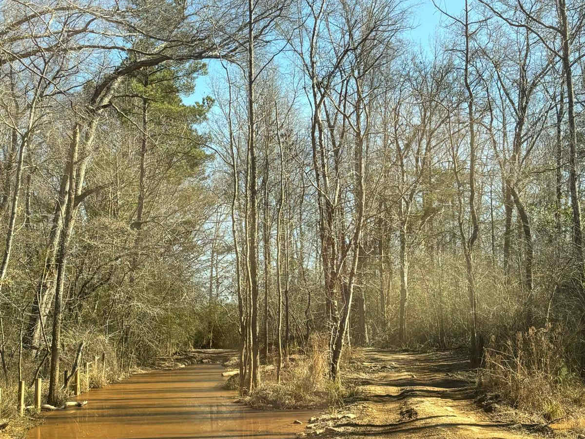 44 trail photo