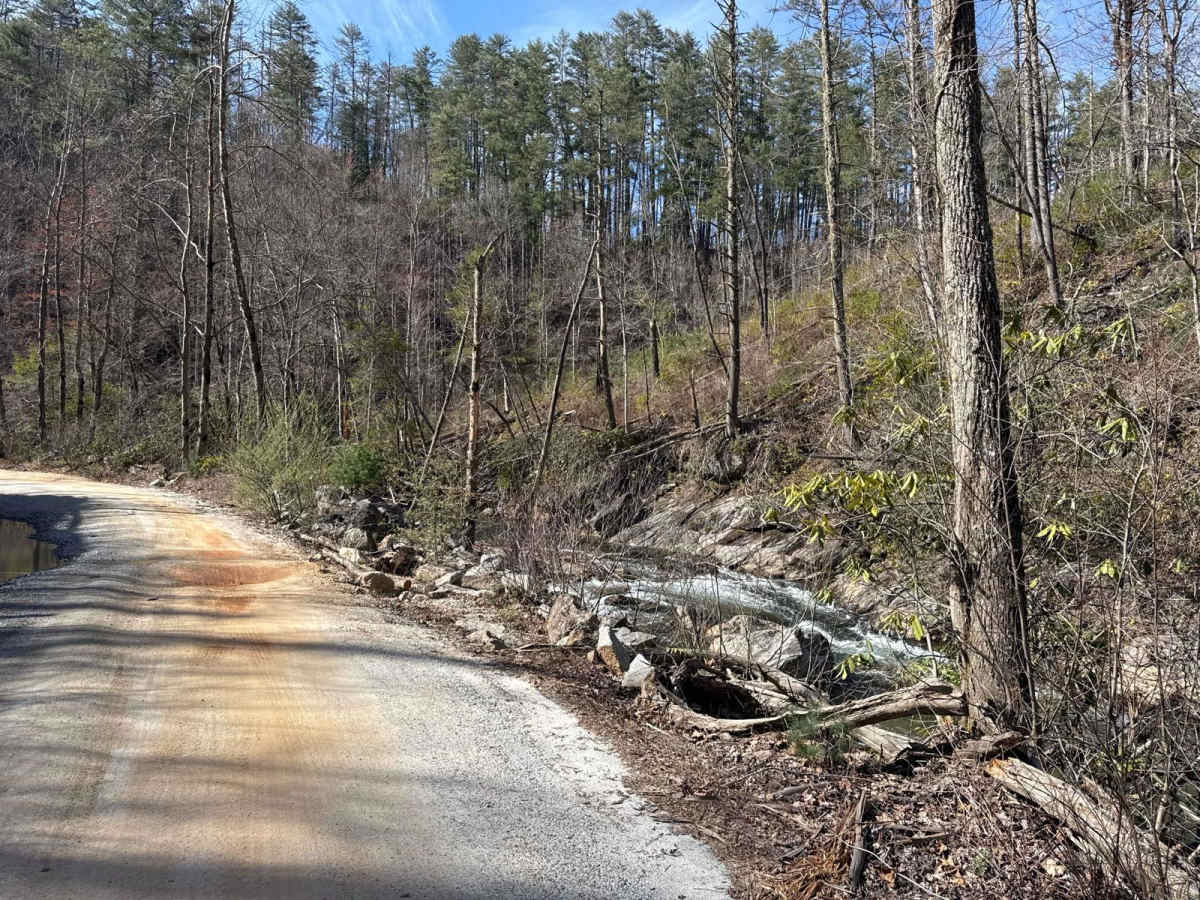 Tallulah River  Trail - FR 70 photo 6