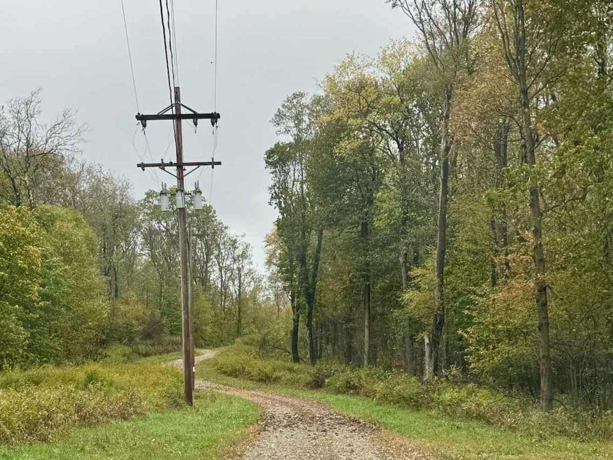 John Henry Road photo 3