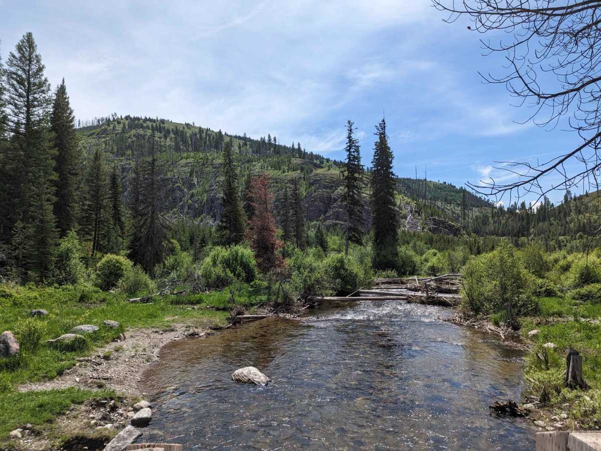 Gold Creek Trail 126 (Seasonal Access) photo 3