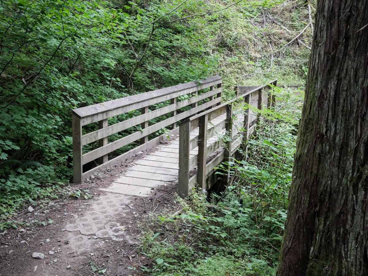 SMC trail photo