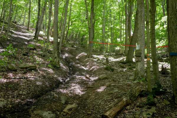 Trail 15