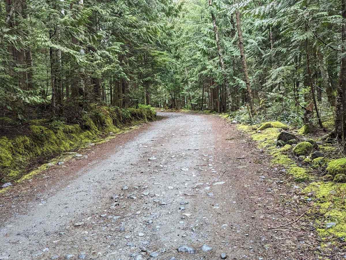 Chehalis Lake to Skwellepil Rec Site photo 2