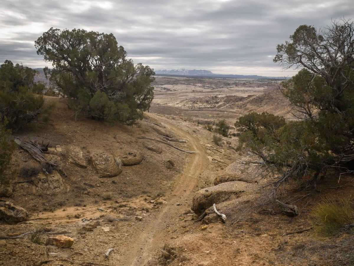Westwater Mesa Loop Trail trail photo