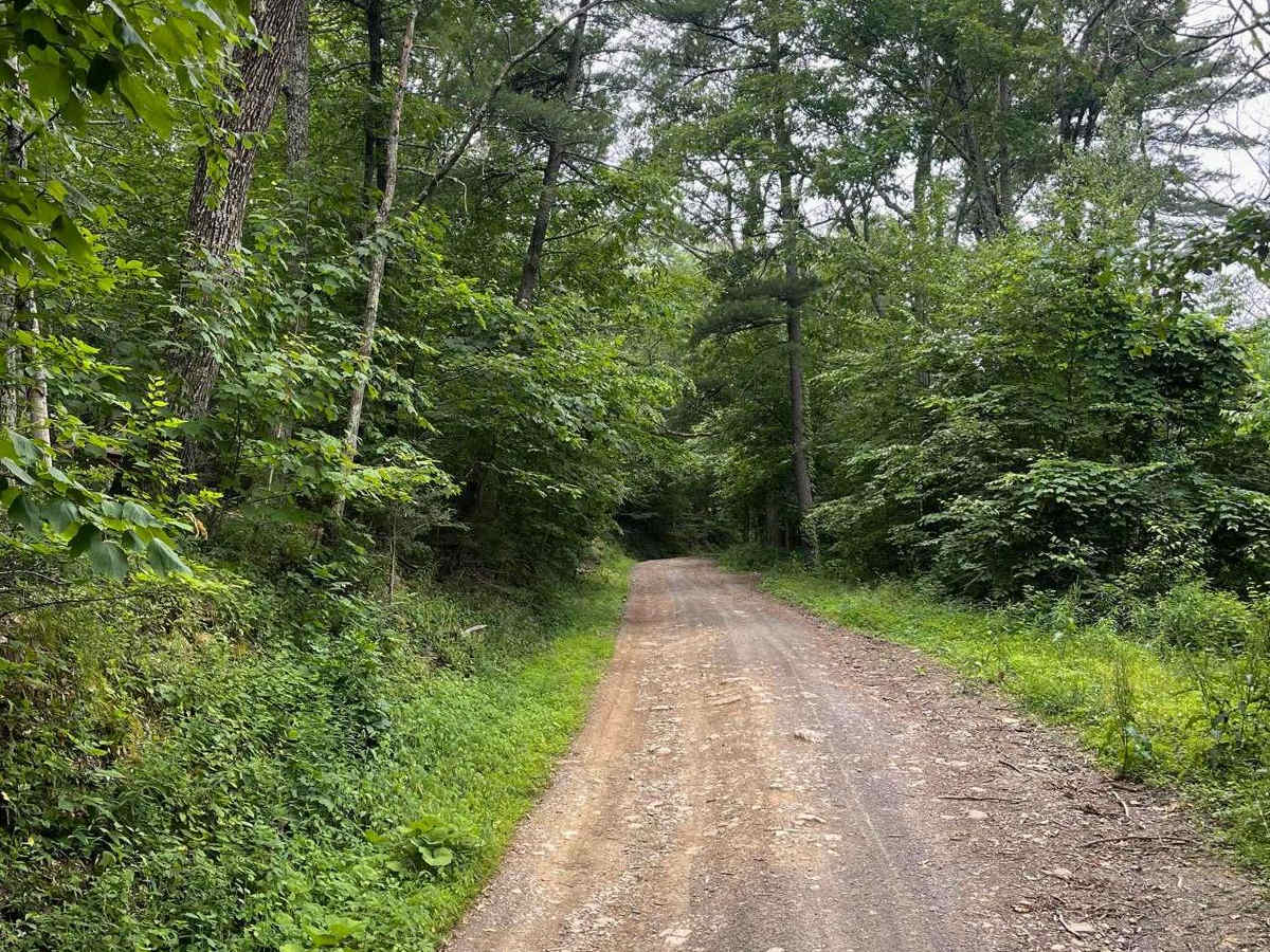 Shaw Mountain Road photo 4