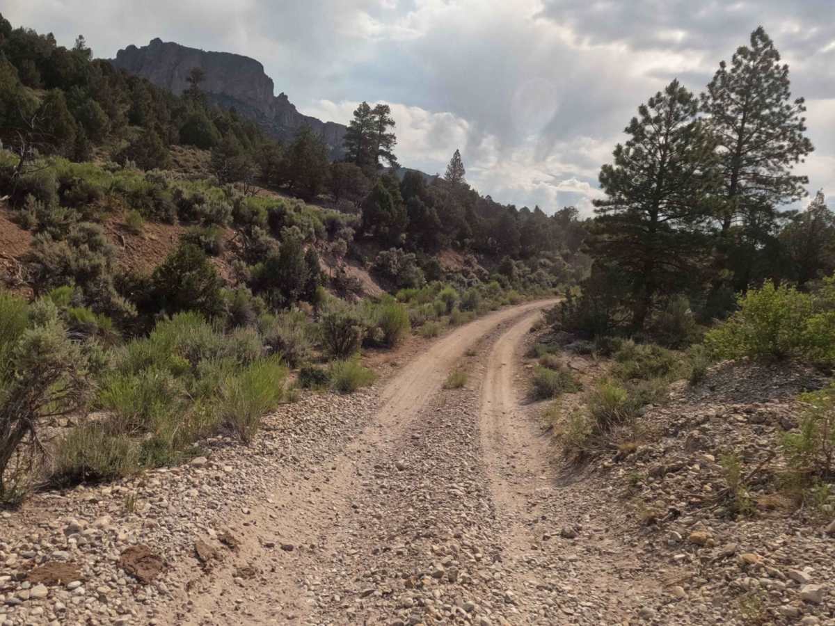 Casto Bowl - BLM 30116 photo 6